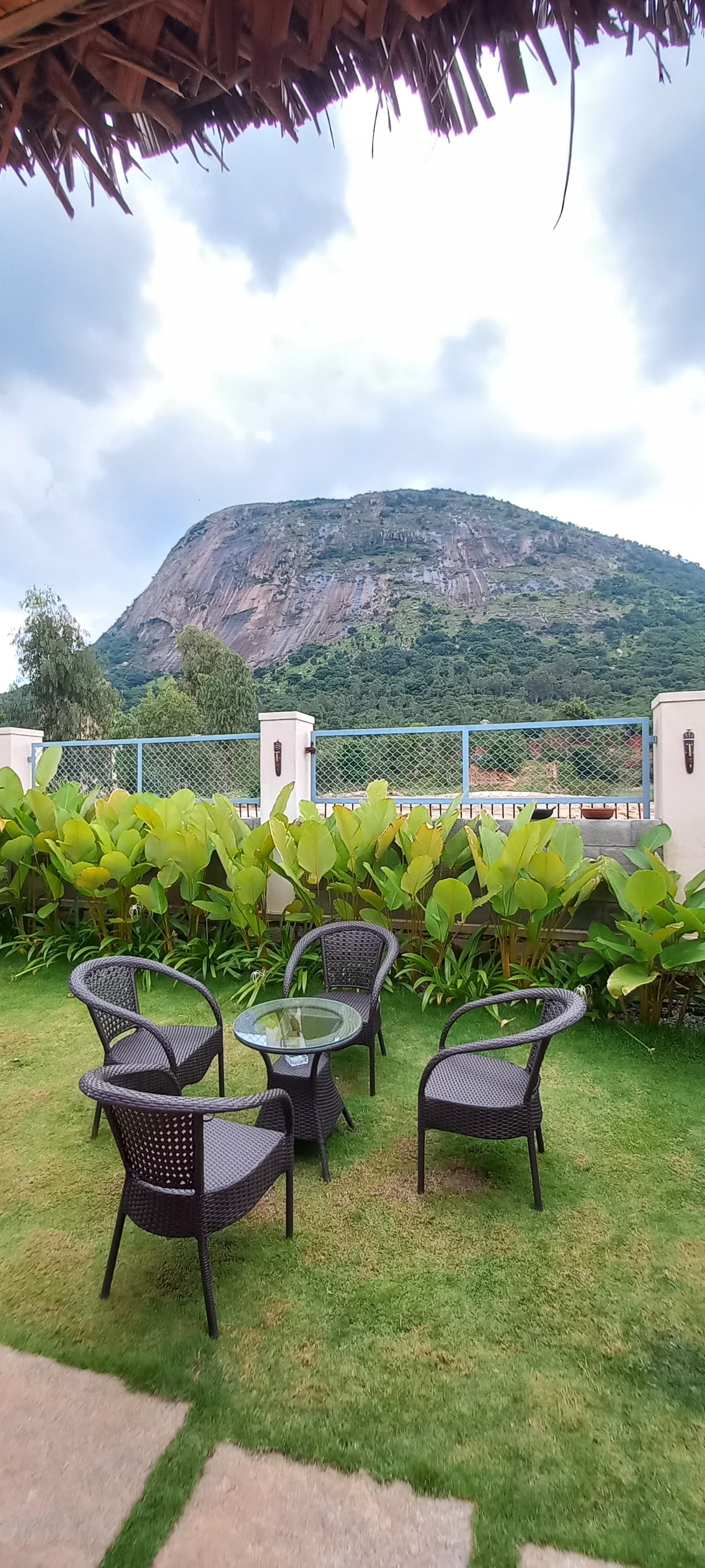 Mountain view from garden